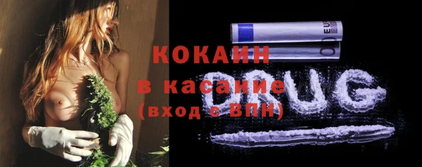 ПСИЛОЦИБИНОВЫЕ ГРИБЫ Елабуга
