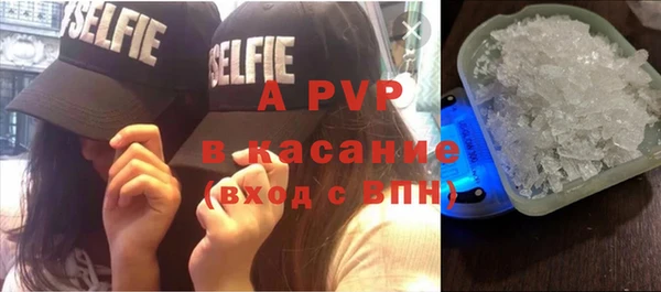 ПСИЛОЦИБИНОВЫЕ ГРИБЫ Елабуга