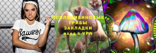 герыч Ельня