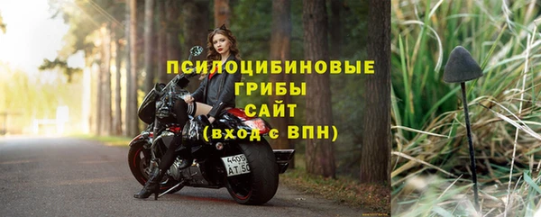 ПСИЛОЦИБИНОВЫЕ ГРИБЫ Елабуга
